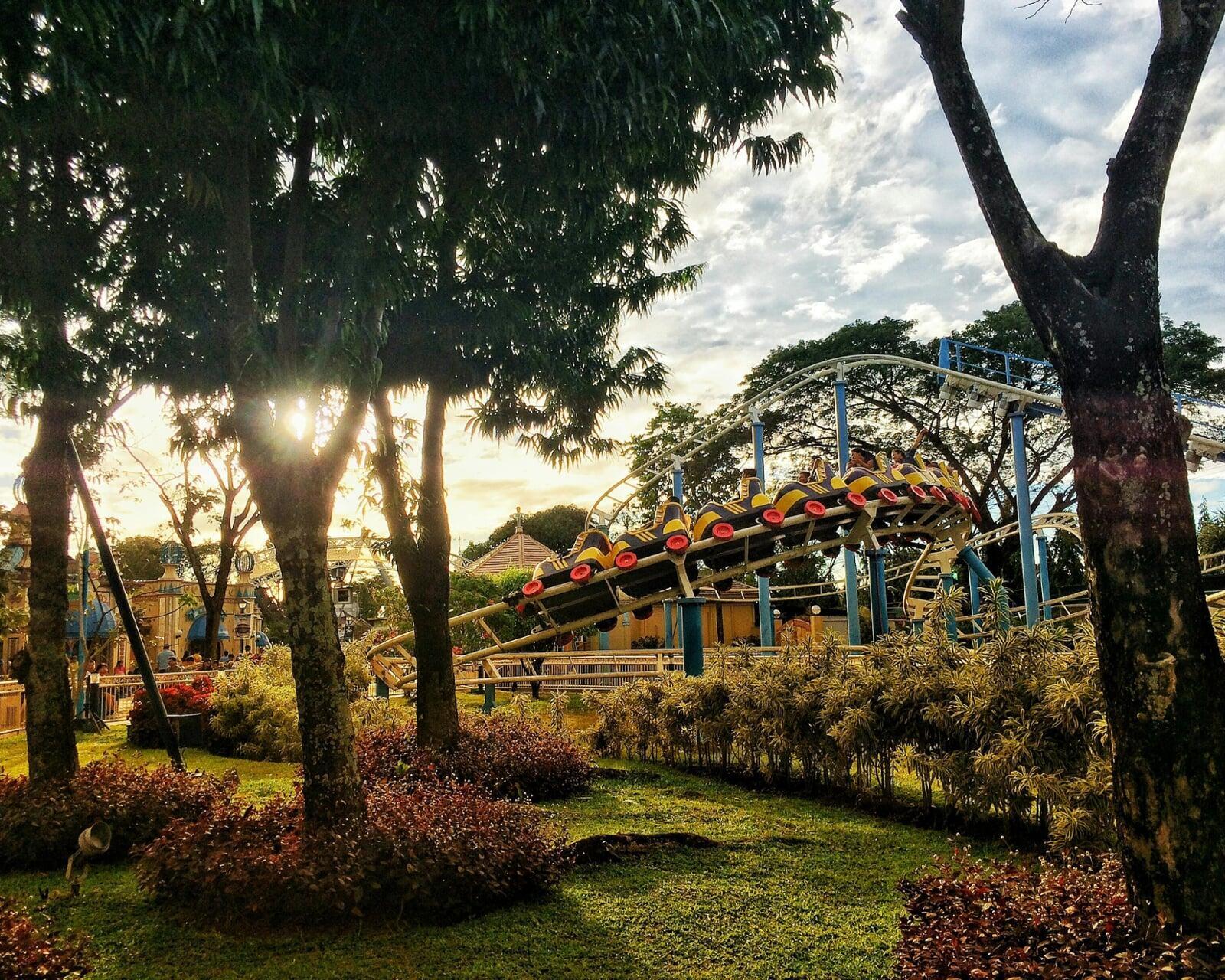 Why Grief Feels Like a Rollercoaster