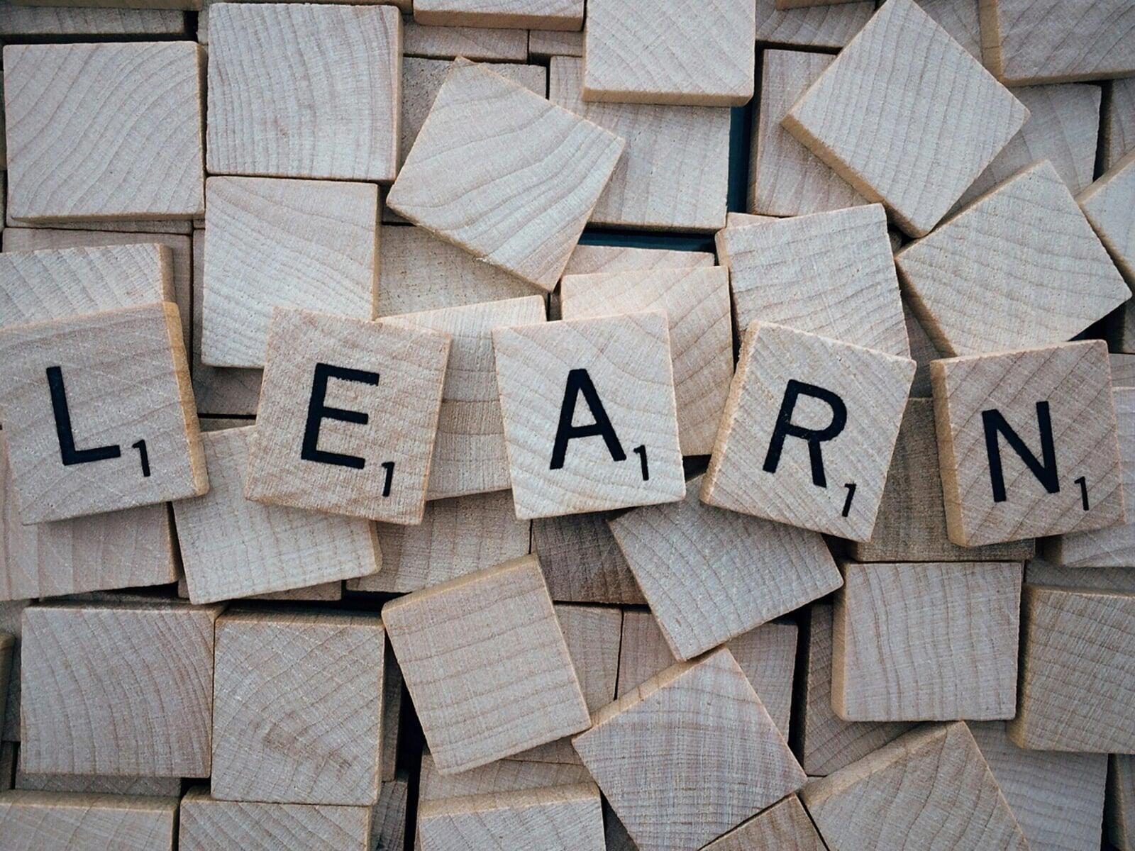 Psychoeducation vs. Therapy: What BeChrysalis Offers